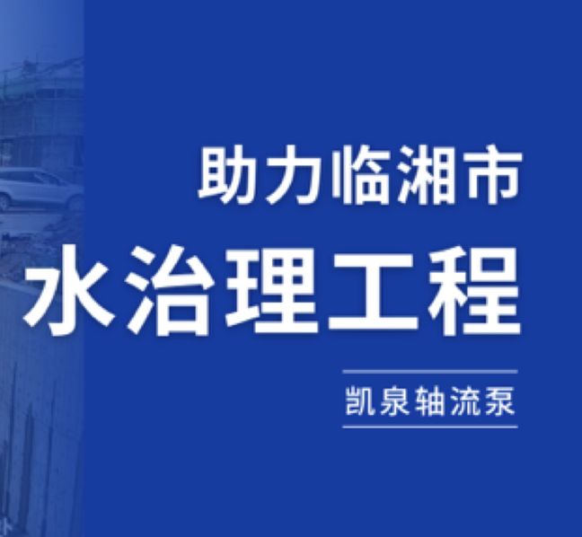 守护湘北粮仓，尊龙凯时轴流泵助力临湘市水治理工程